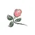 زهرات عمان